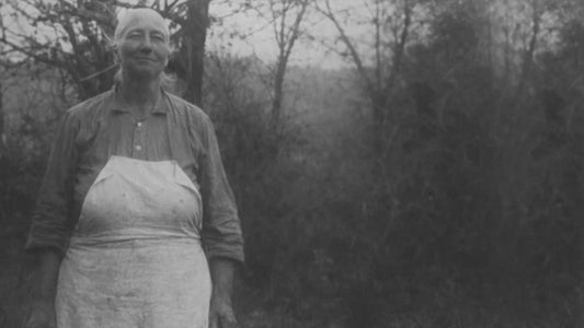 "The Ballad of Lila Maples"