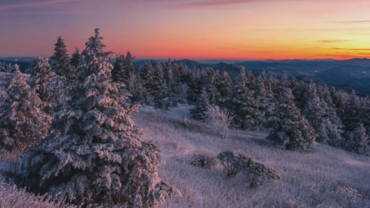 MUSIC DOWNLOAD- "Without You"