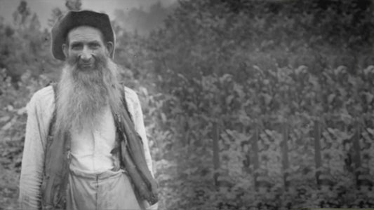 "Beyond Man's Control" The Ballad of Levi Trentham